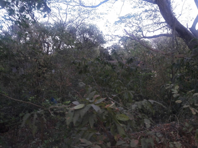 Portuguese house for sale at Goa,Bungalows, apartments, villas, duplex