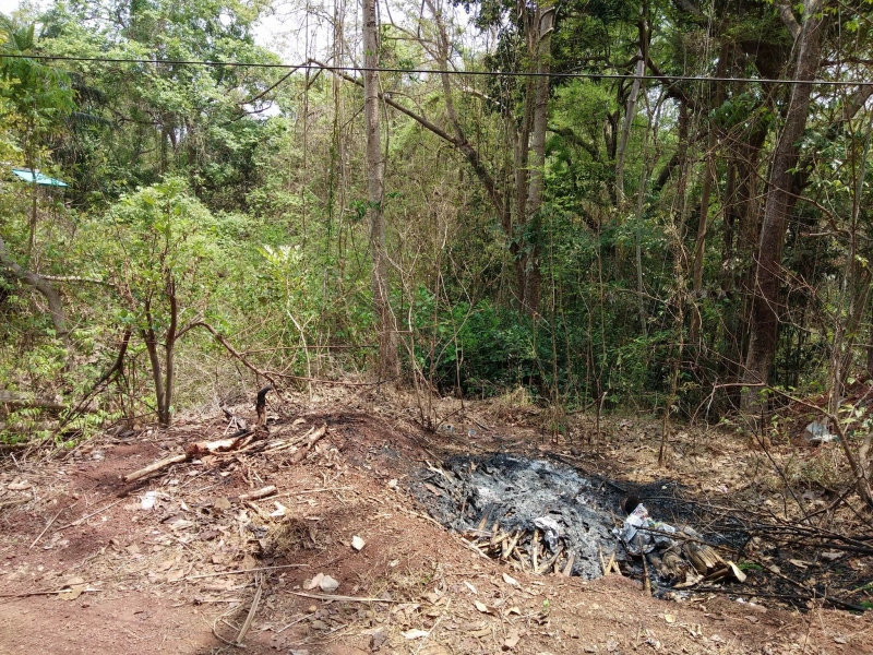 plot for sale, moira, mapusa, goa, Bungalows, apartments, villas