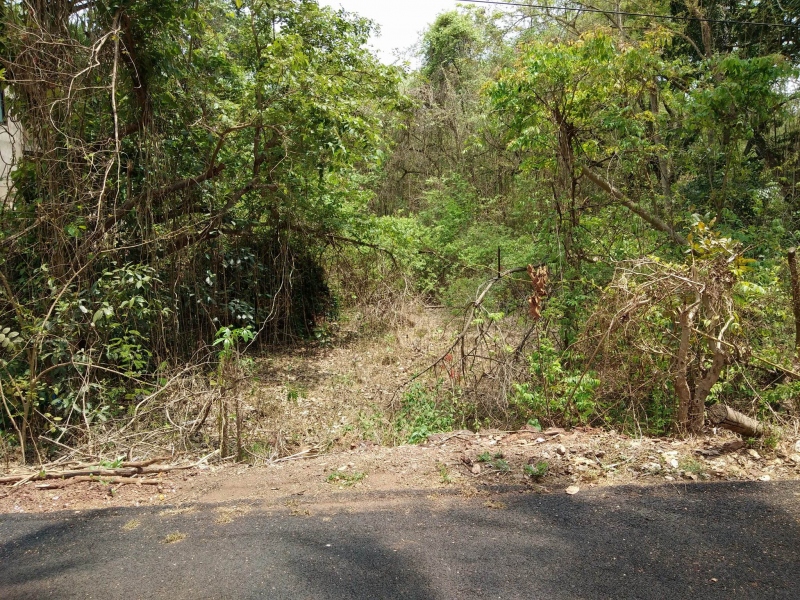 plot for sale, moira, mapusa, goa, Bungalows, apartments, villas